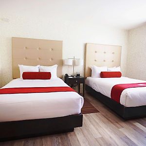 Chambre Standarde