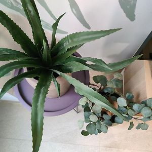 Hola Apartament Alicante