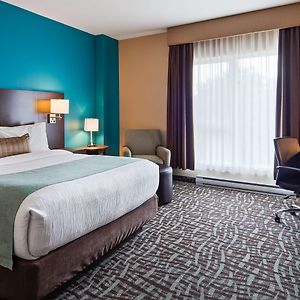 Chambre Lit Queen-Size