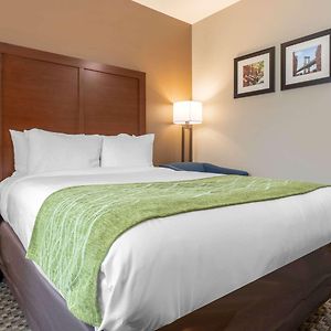 Chambre Lit Queen-Size