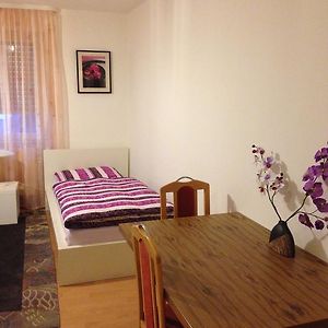 Appartement Rez-de-Chaussée