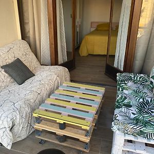 Avignon : Appartement le in et off