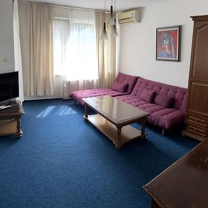 Suite Junior