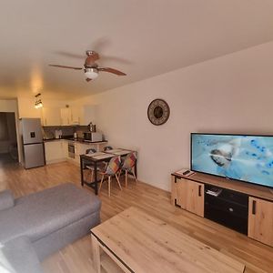 Appartement T2 45 M2 Meublé 3 étoiles tout confort hyper centre de Dax