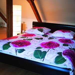 Appartement Duplex