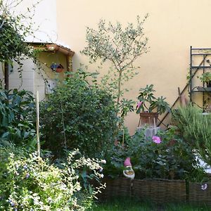 Casa Gori