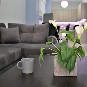 Appartement à 2 Chambres à Coucher