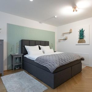 ☆NEW☆Luxus Studio☆NETFLIX/BOXSPRING ☆10min Centre☆