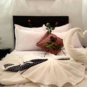 Chambre Standarde Lit King-Size