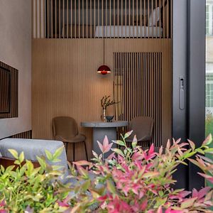 Suite Loft Premium