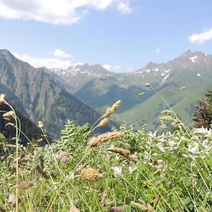 Studio Cauterets, 1 pièce, 4 personnes - FR-1-234-287