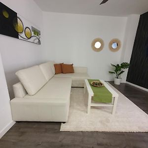 Tribuna Deluxe