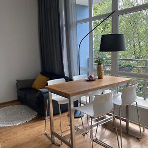 Apartment Dzelzavas 19/3