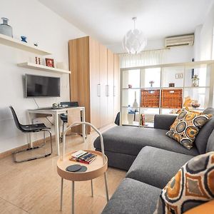 Livemalaga Caballeria