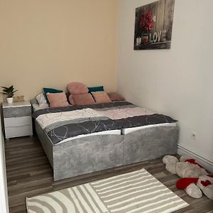 Lovely Flat In The City Center