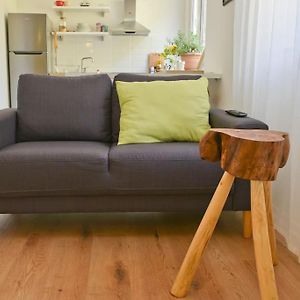 ✦ The Muse Apartment II
