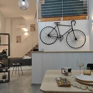 Miriam Loft S.Orsola Bologna