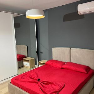 Amion Apartment In Center Of Tirana