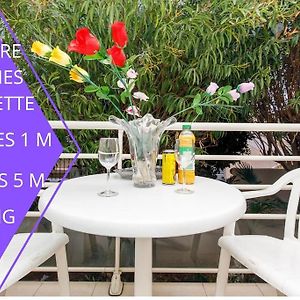 Top Croisette Cannes Promo Cosy appart 1mn la Mer