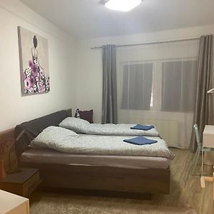Tatra Apartment By The Danube Fully Accessible