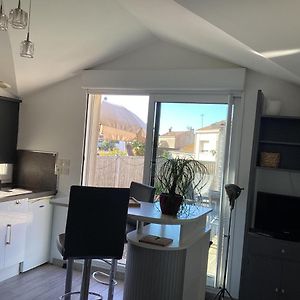 Chaleureux T2 30 m2 et sa terrasse bois 16 m2