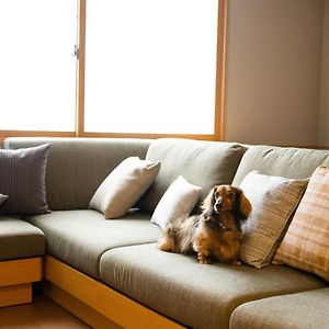 Chien Accepté Suite