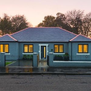 Festival Villa And City Villa