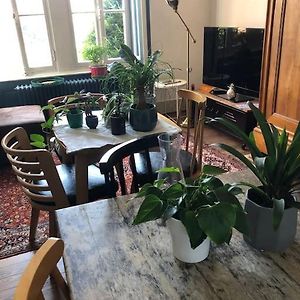 Grand Appartement Dans Belle Maison Avec Jardin