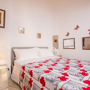 Starry Rome Guest House