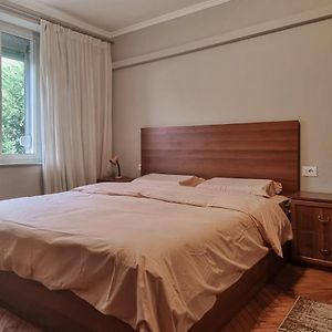 Tirana Center Cozy Apartment