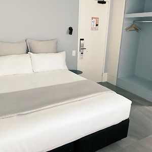 Chambre Budgétée Lit King-Size