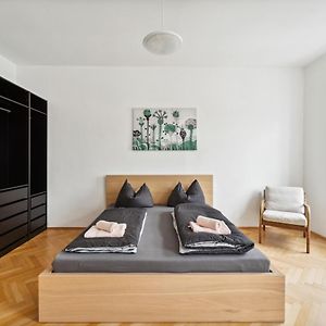 Design Apartments Near Mariahilferstrasse