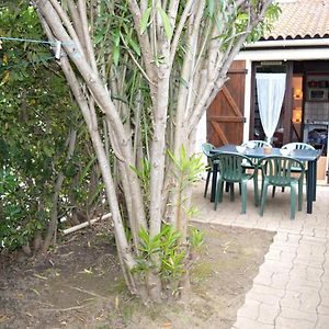 Studio Argelès-sur-Mer, 1 pièce, 4 personnes - FR-1-225-619