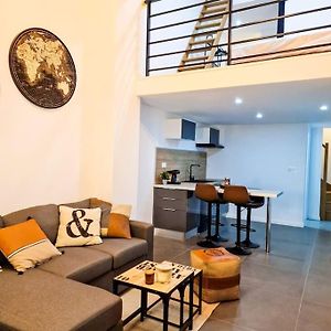 Grand Loft Avec Terrasse Privee