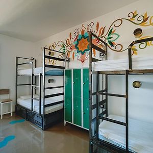 Chambre Juste Pour Femmes Dortoir