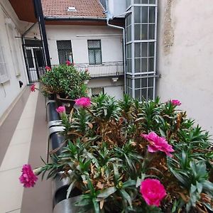 Violet Apartment With Air Condition