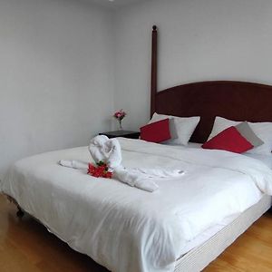 3 Bedroom Cozy Apartmet