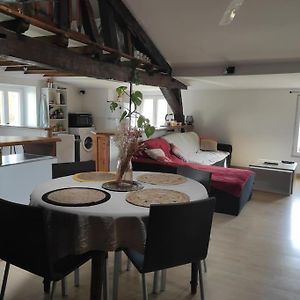 Appartement De Charme Coeur Historique