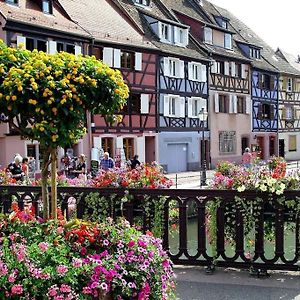Colmar,Appart Chaleureux 2 Pas Centre Avec Jardin