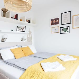 Floral Apartment - New In Town
