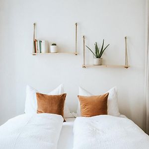 Cozy City Apartment