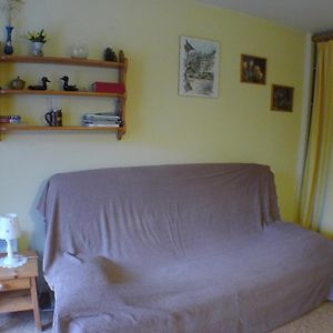 Studio Cosy Au Centre De Samoens Avec Parking Privatif - Fr-1-629-118