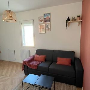 Studio - Cosy Kaza