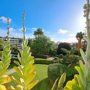 Beautiful Renovated Studio With Ac And Terrace - Benakey