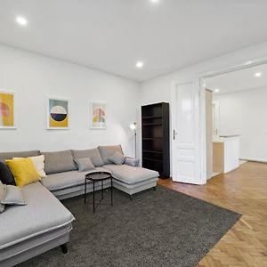 Big Spacious Central Apartment In Vienna