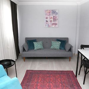 Appartement Supérieur à 1 Chambre à Coucher