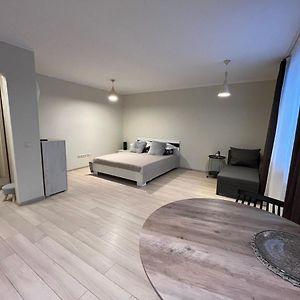 Beautiful Apartment Great Location Free Parking