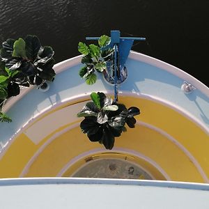Mobile Home