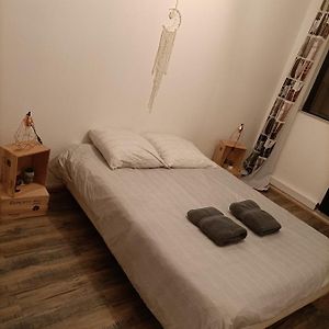Appartement très spacieux en plein cœur d'agen