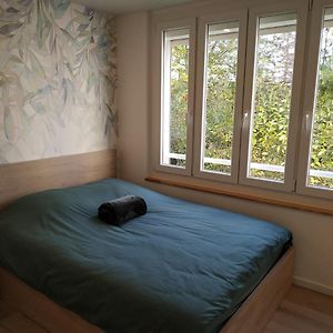 Studio Lit King-Size